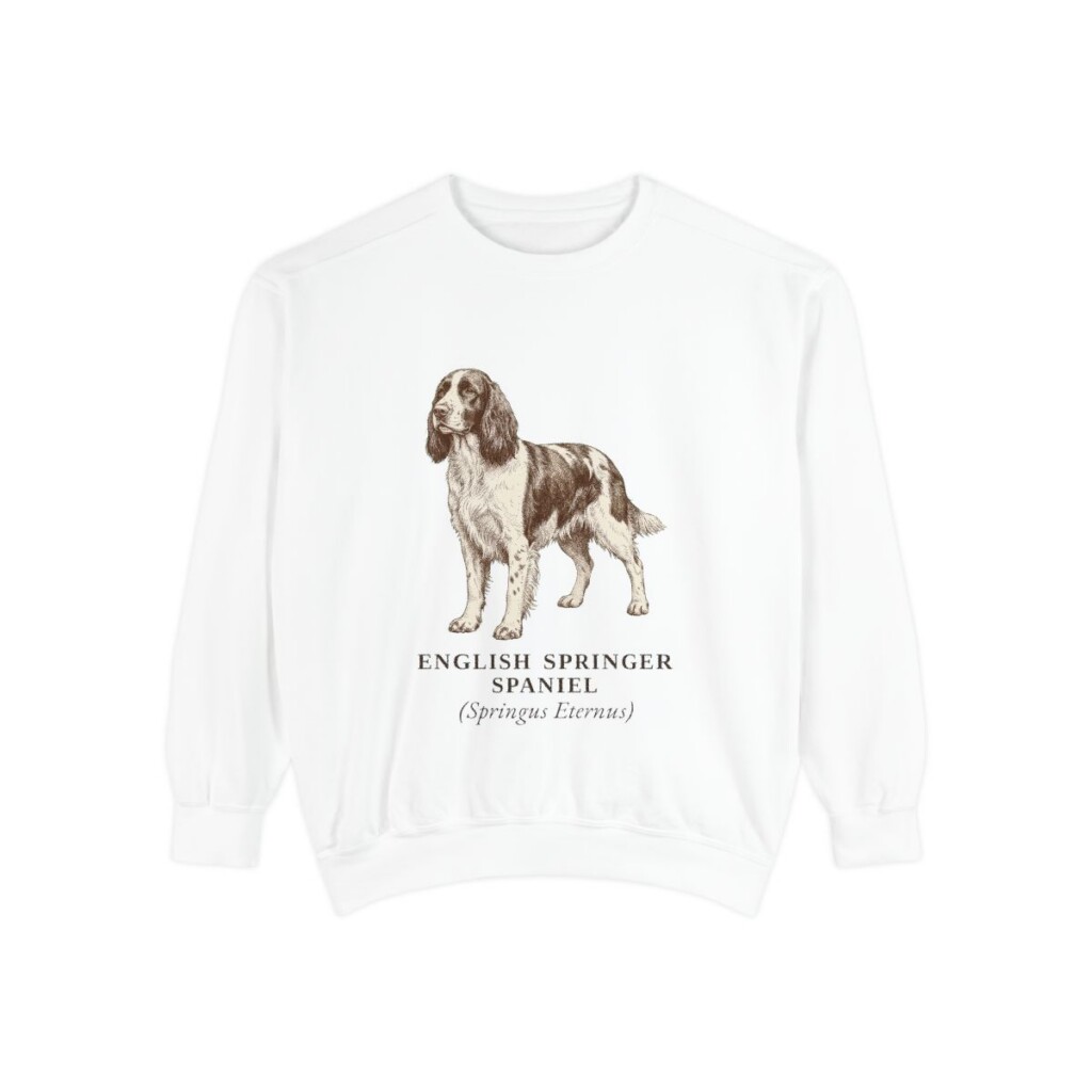 English Springer Spaniel Latin Sweatshirt, White, front view