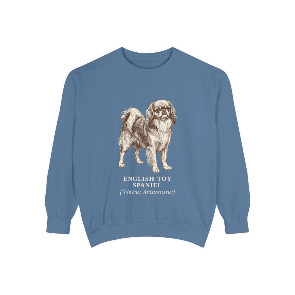 English Toy Spaniel Latin Sweatshirt, Blue Jean, front view