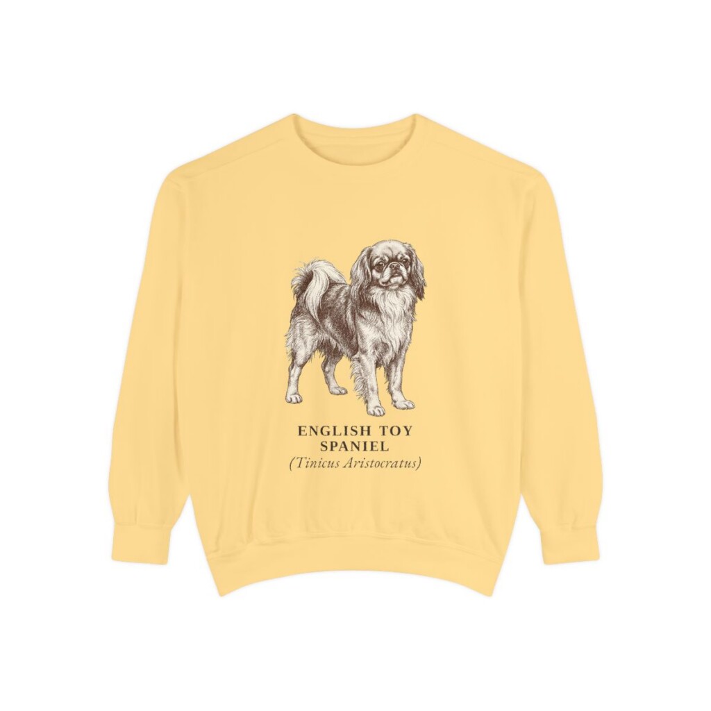 English Toy Spaniel Latin Sweatshirt, Butter, front view