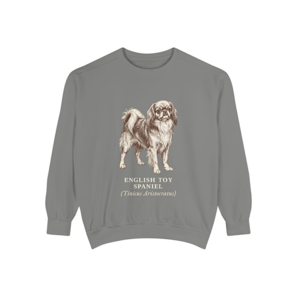 English Toy Spaniel Latin Sweatshirt, Grey, front view