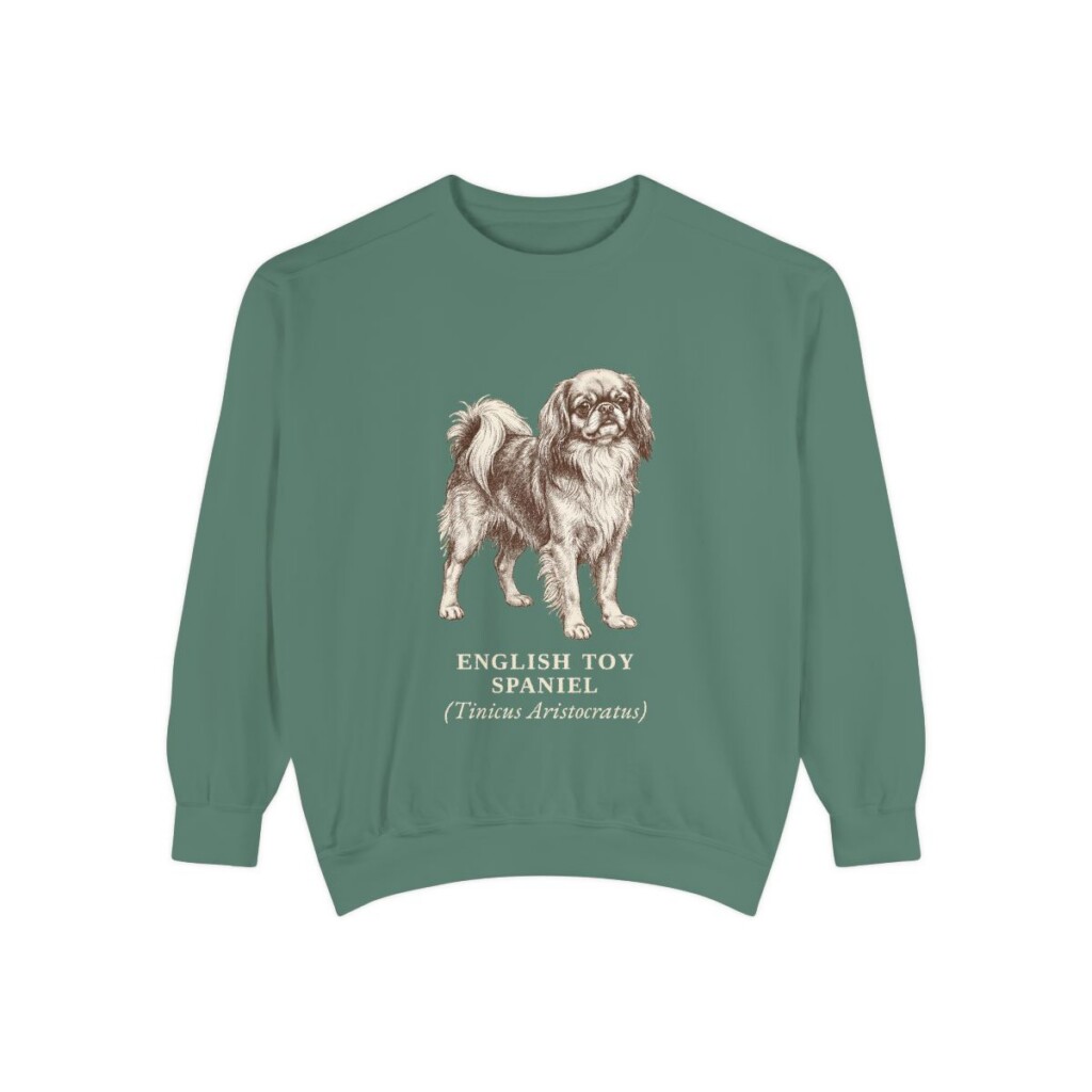 English Toy Spaniel Latin Sweatshirt, Light Green, front view