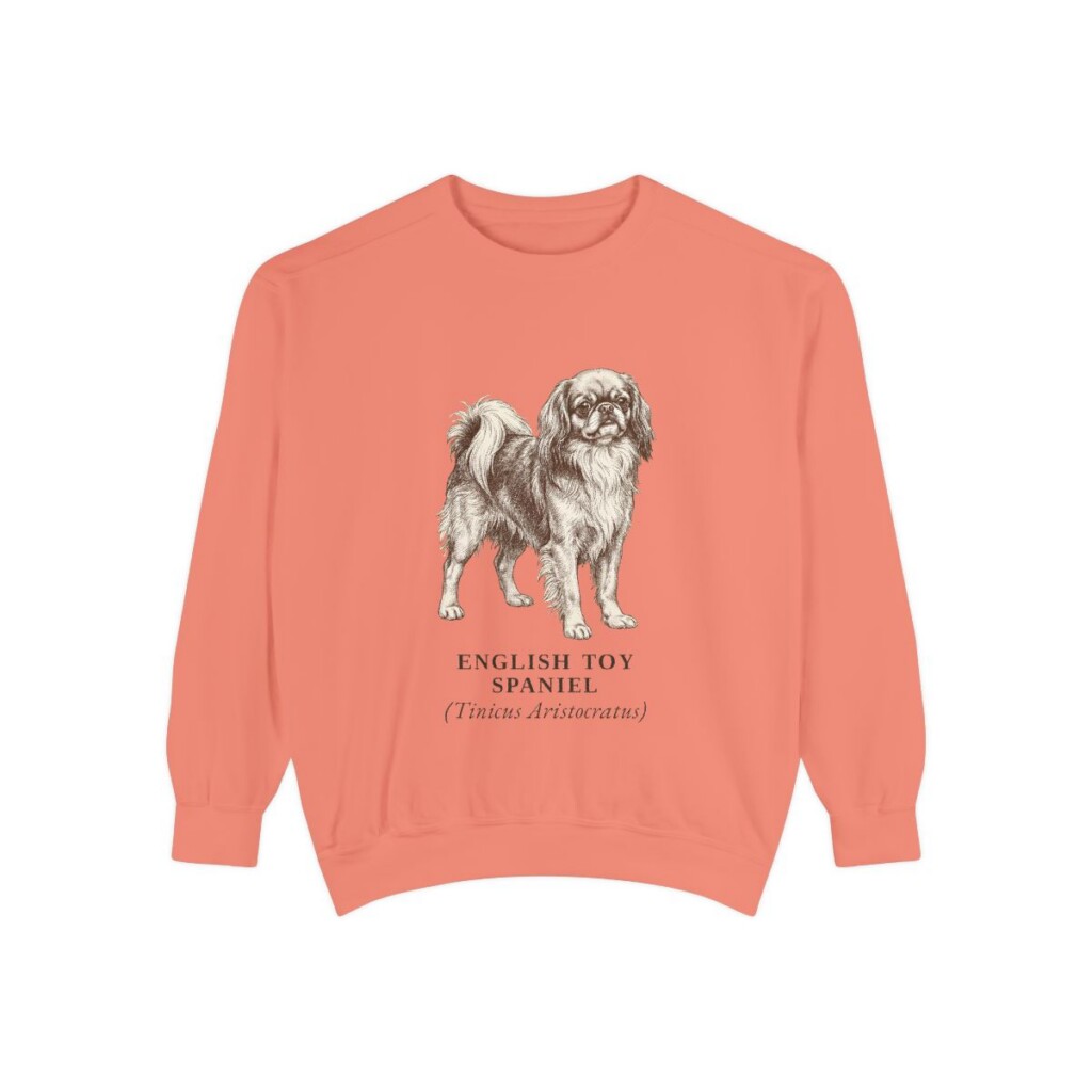 English Toy Spaniel Latin Sweatshirt, Terracotta, front view