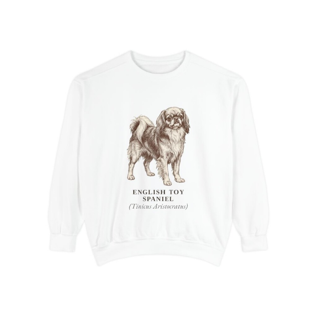English Toy Spaniel Latin Sweatshirt, White, front view
