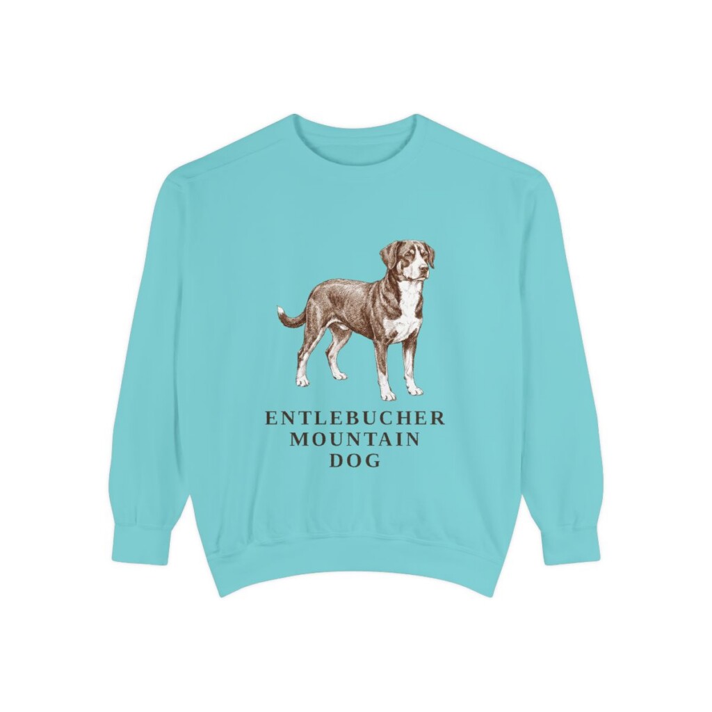 Entlebucher Mountain Dog Sweatshirt, Chalky Mint, front view