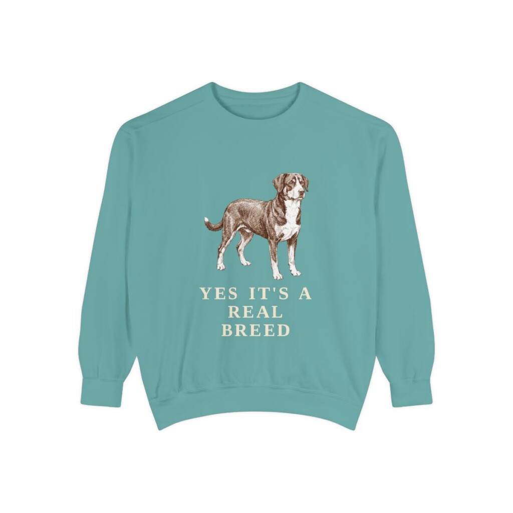 Entlebucher Mountain Dog Humor Sweatshirt, Seafoam, front view