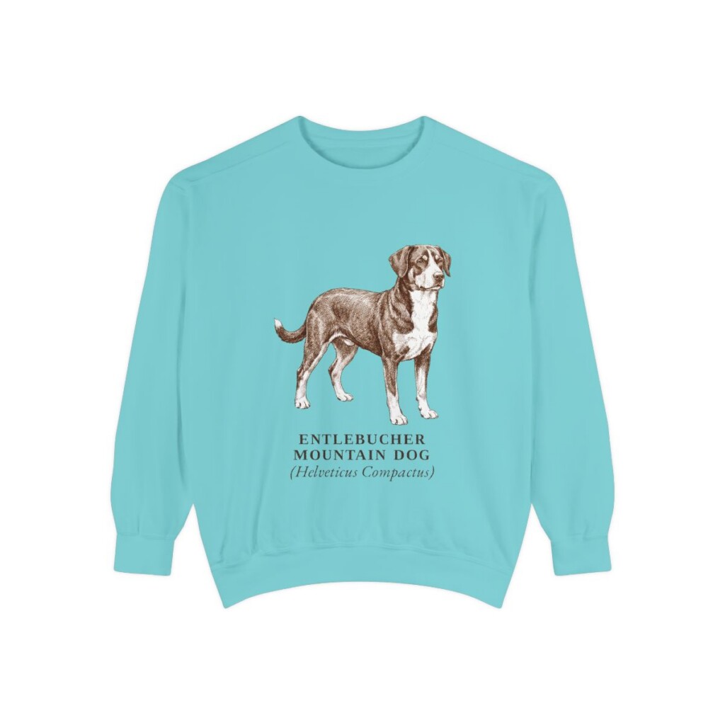 Entlebucher Mountain Dog Latin Sweatshirt, Chalky Mint, front view