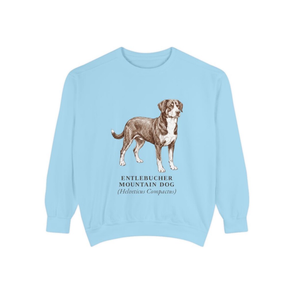 Entlebucher Mountain Dog Latin Sweatshirt, Chambray, front view