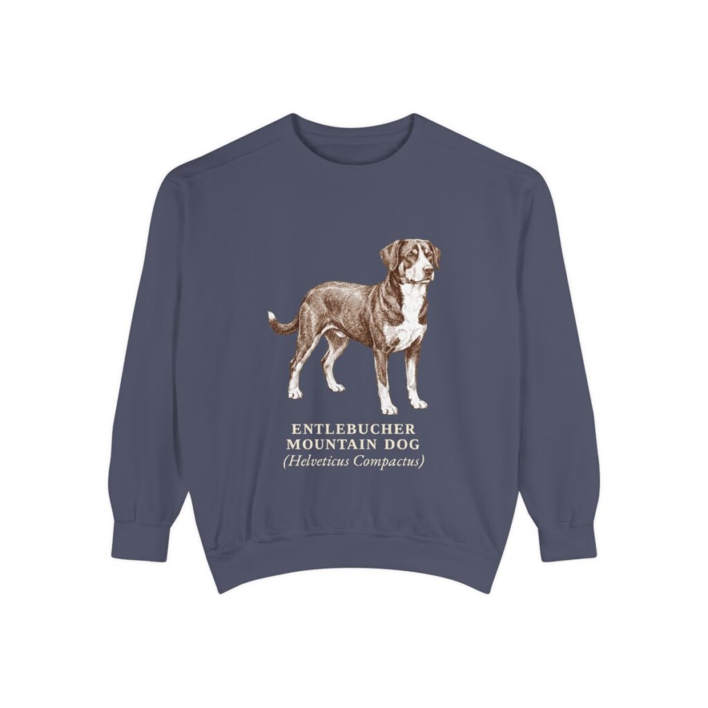Entlebucher Mountain Dog Latin Sweatshirt, Denim, front view