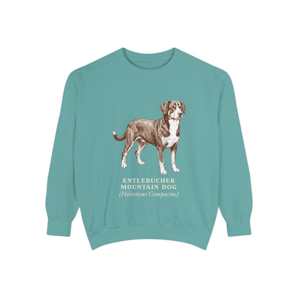 Entlebucher Mountain Dog Latin Sweatshirt, Seafoam, front view