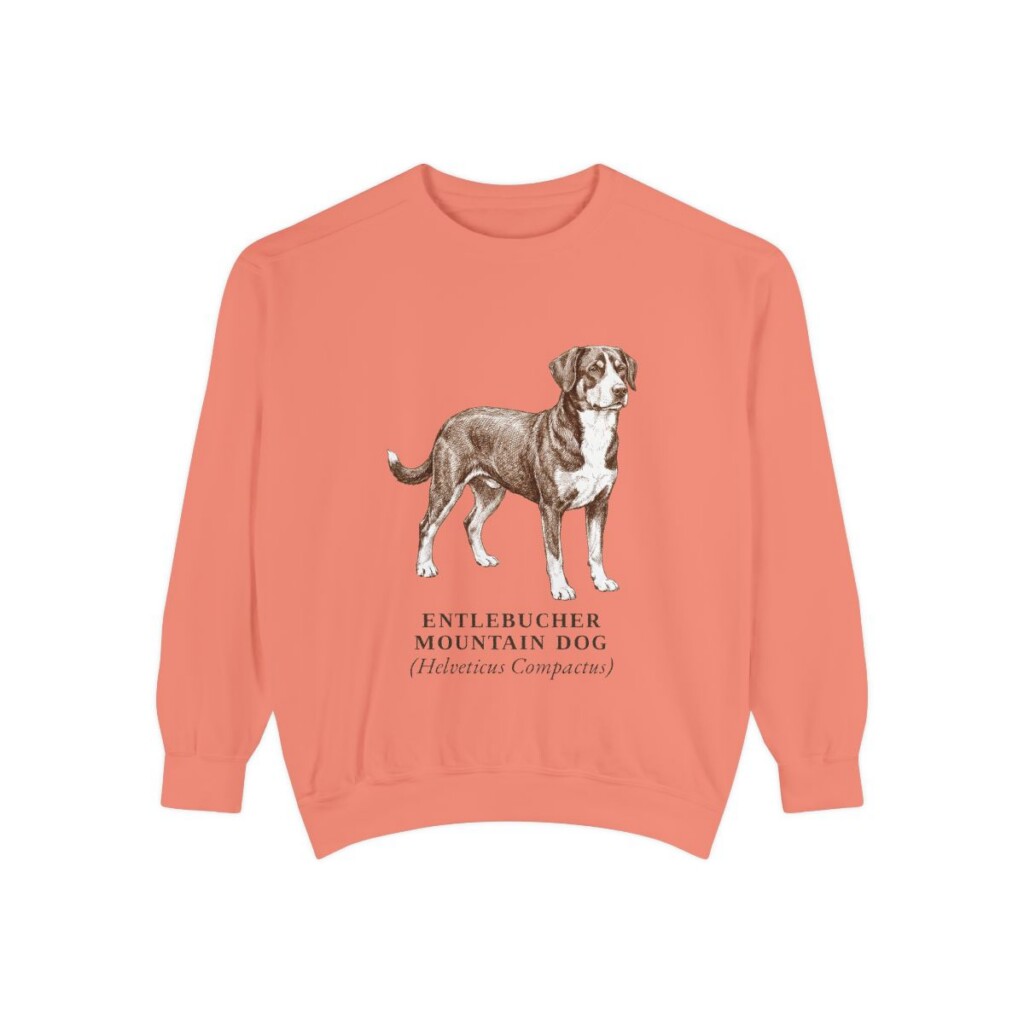 Entlebucher Mountain Dog Latin Sweatshirt, Terracotta, front view
