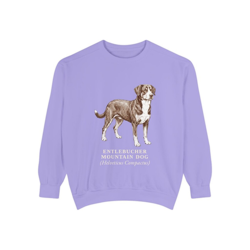Entlebucher Mountain Dog Latin Sweatshirt, Violet, front view