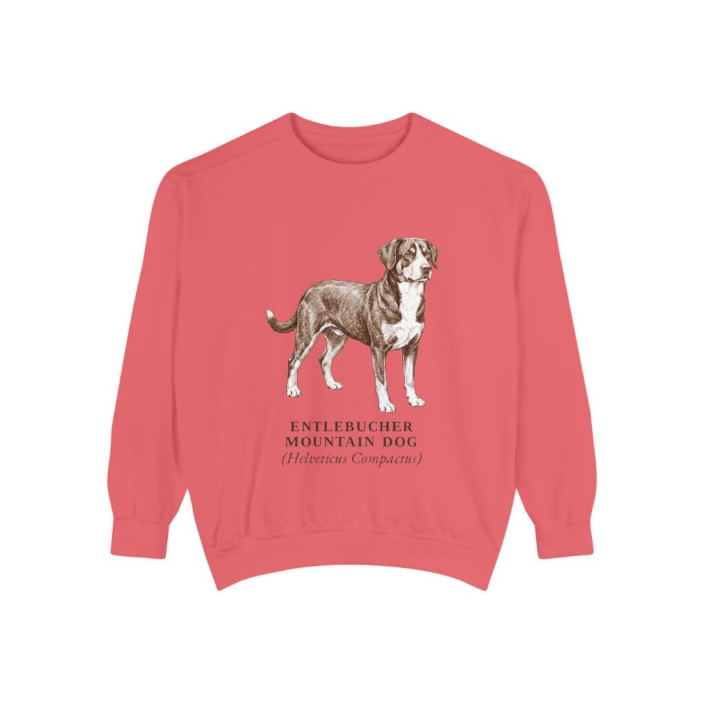 Entlebucher Mountain Dog Latin Sweatshirt, Watermelon, front view