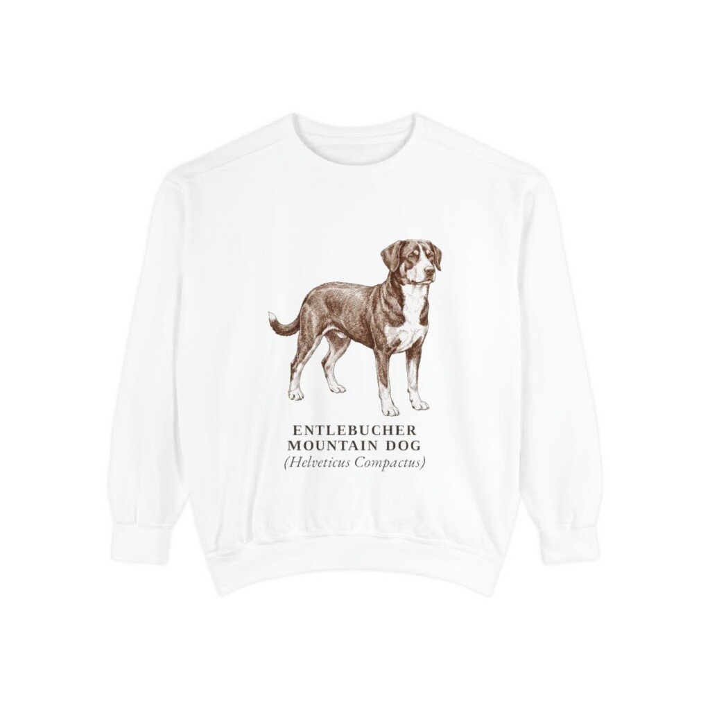 Entlebucher Mountain Dog Latin Sweatshirt, White, front view