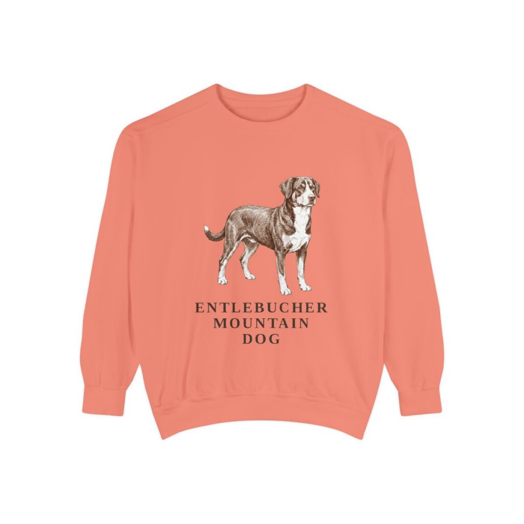 Entlebucher Mountain Dog Sweatshirt, Terracotta, front view