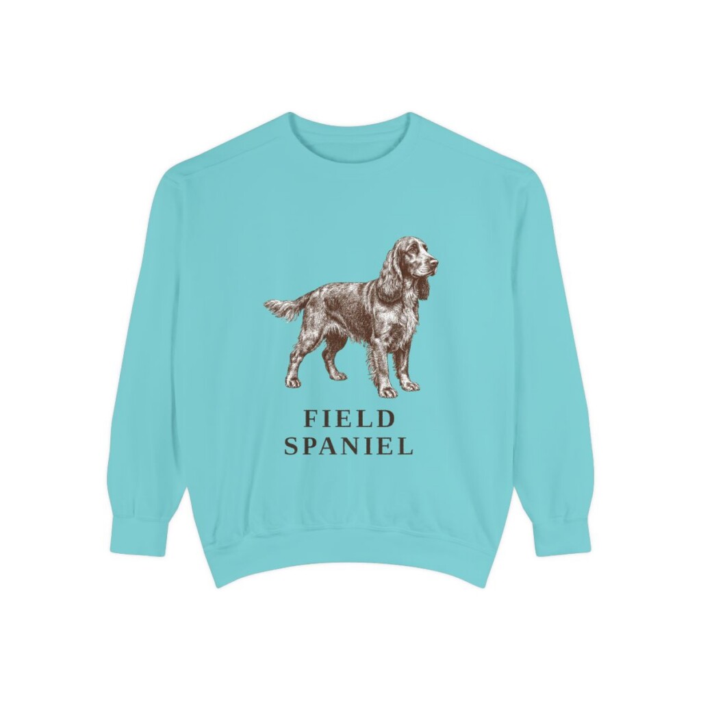Field Spaniel Sweatshirt, Chalky Mint, front view