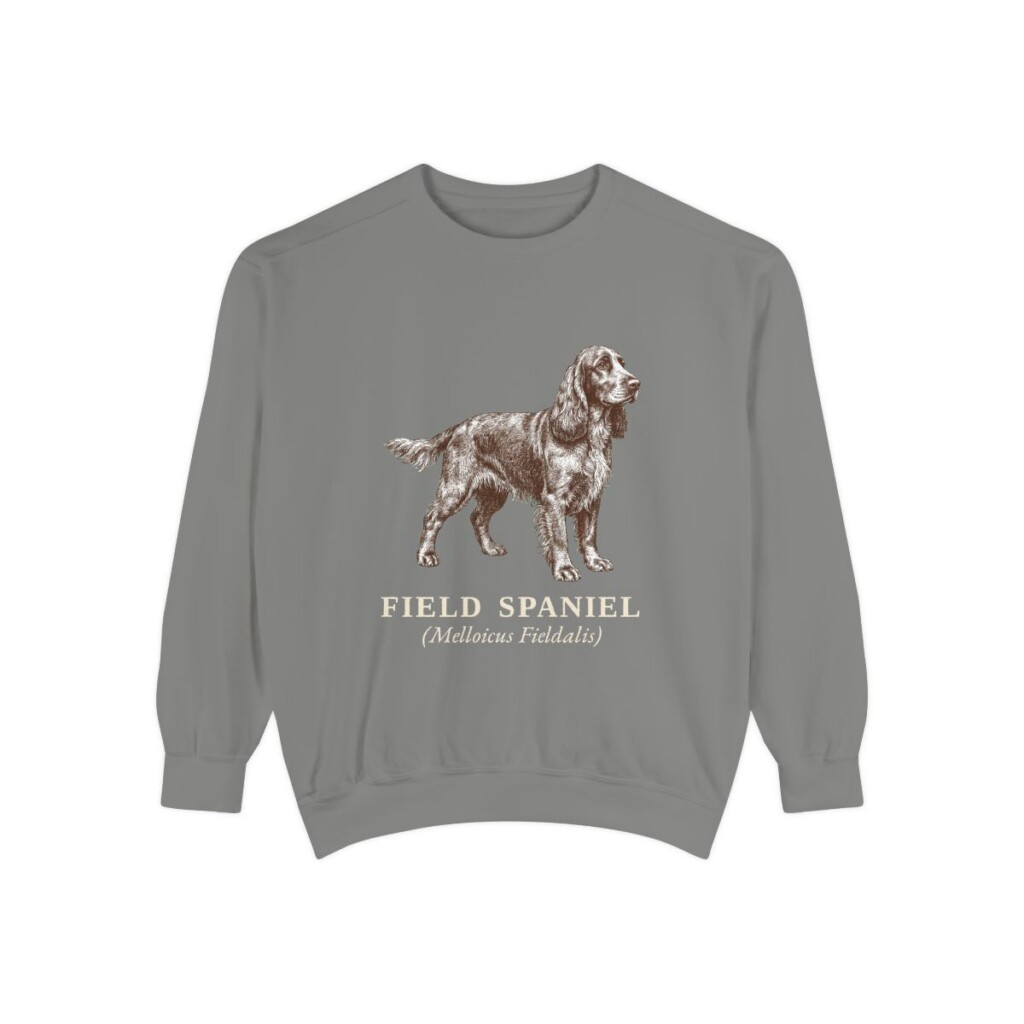 Field Spaniel Latin Sweatshirt, Grey, front view