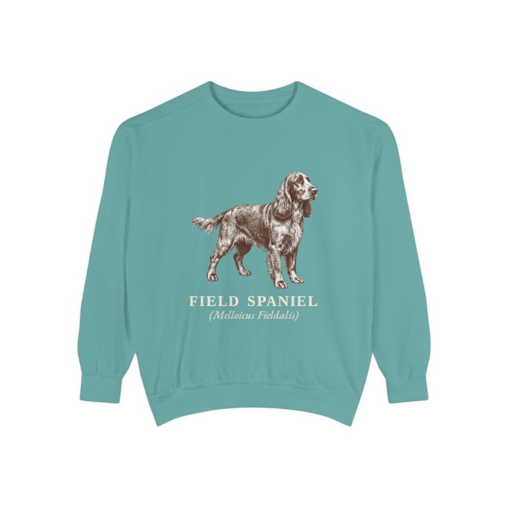 Field Spaniel Latin Sweatshirt, Seafoam, front view