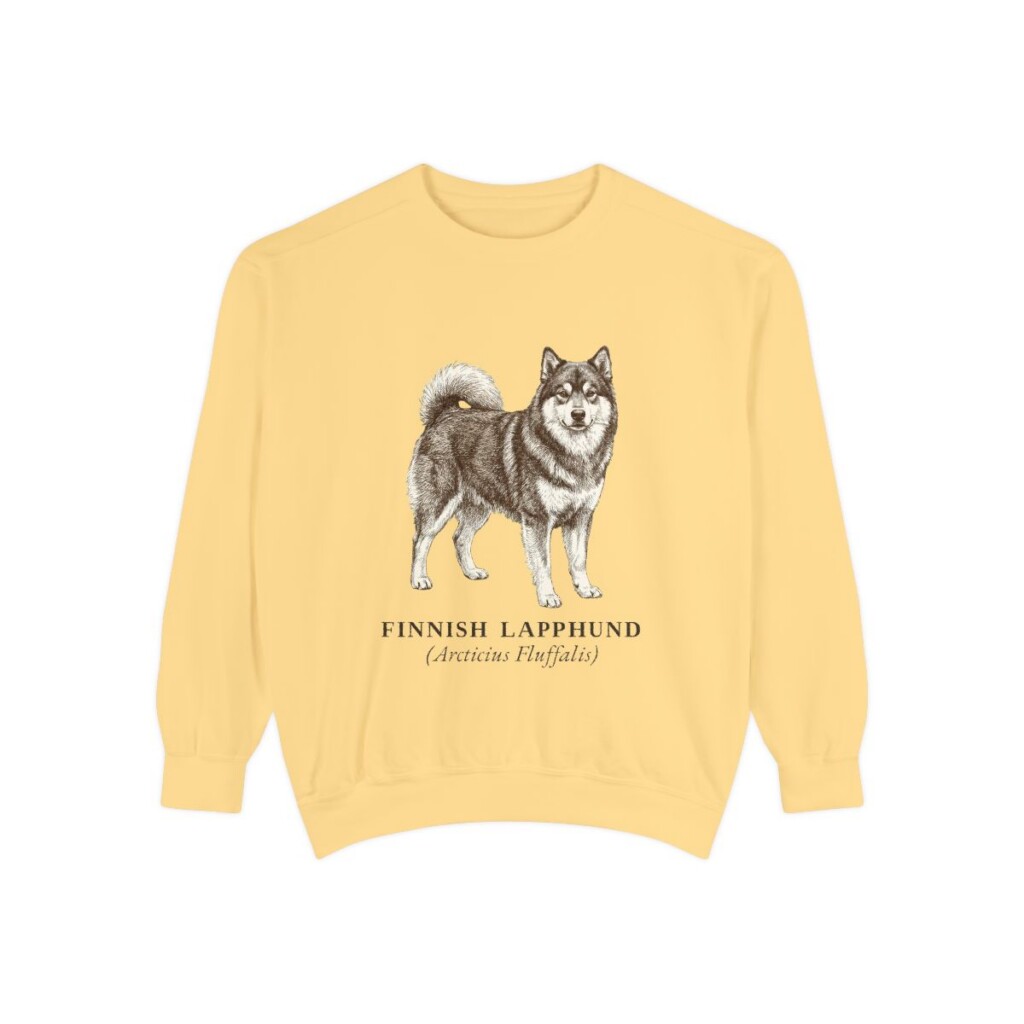 Finnish Lapphund Latin Sweatshirt, Butter, front view