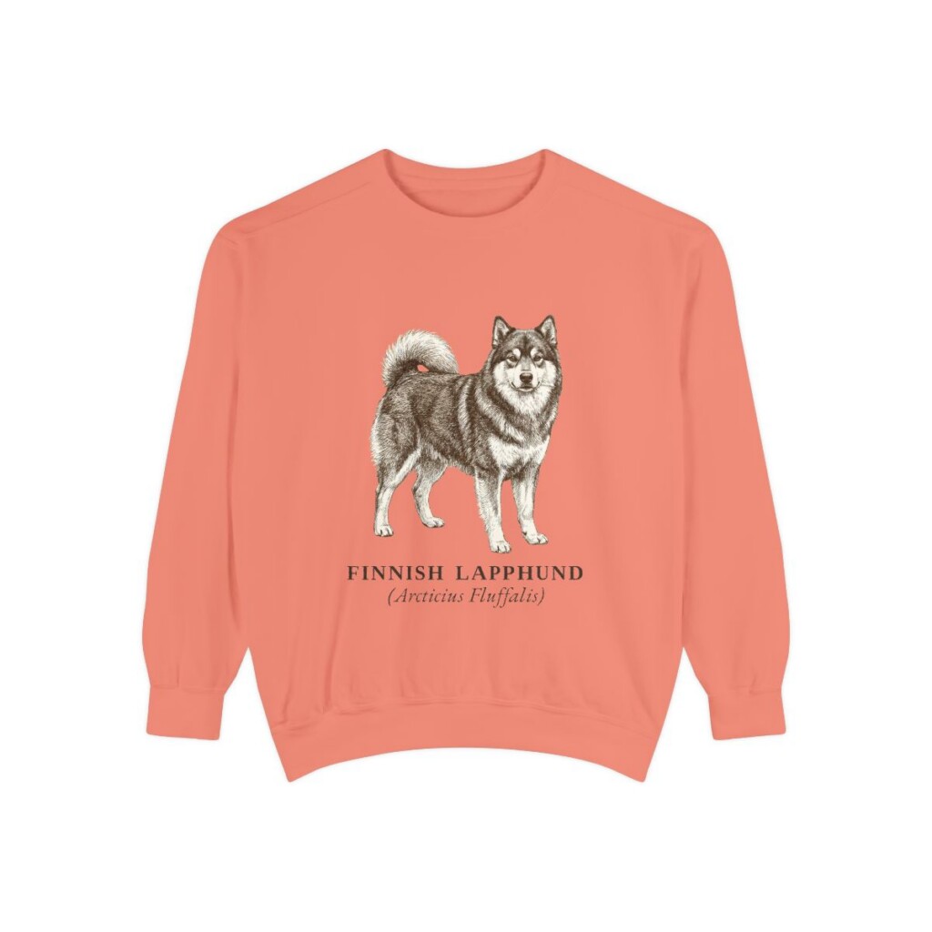 Finnish Lapphund Latin Sweatshirt, Terracotta, front view