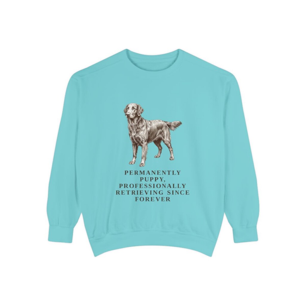 Flat-Coated Retriever Humor Sweatshirt, Chalky Mint, front view