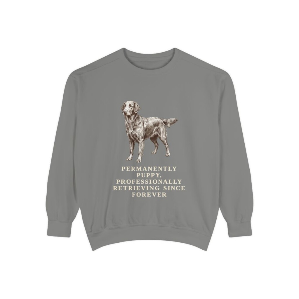 Flat-Coated Retriever Humor Sweatshirt, Grey, front view
