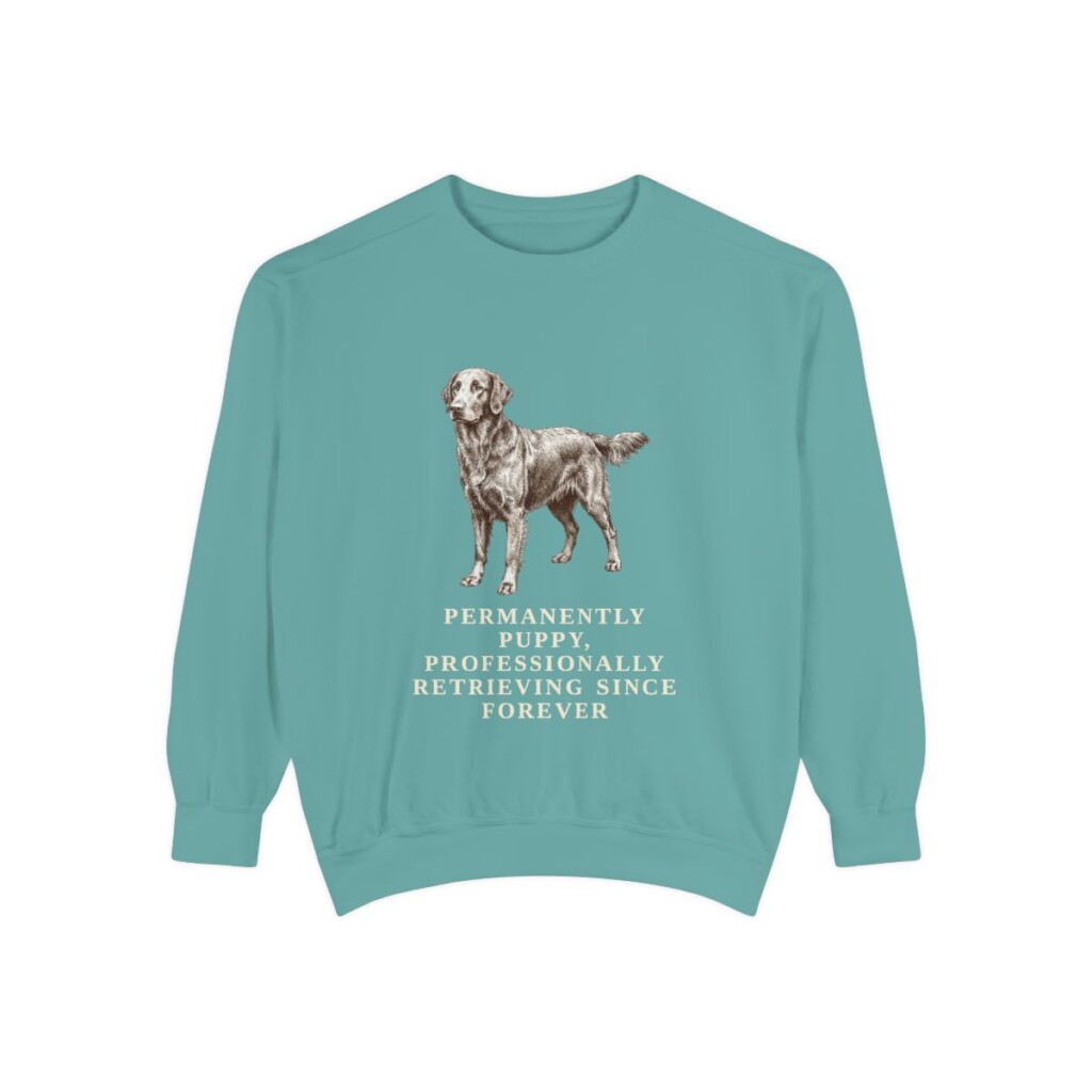 Flat-Coated Retriever Humor Sweatshirt, Seafoam, front view