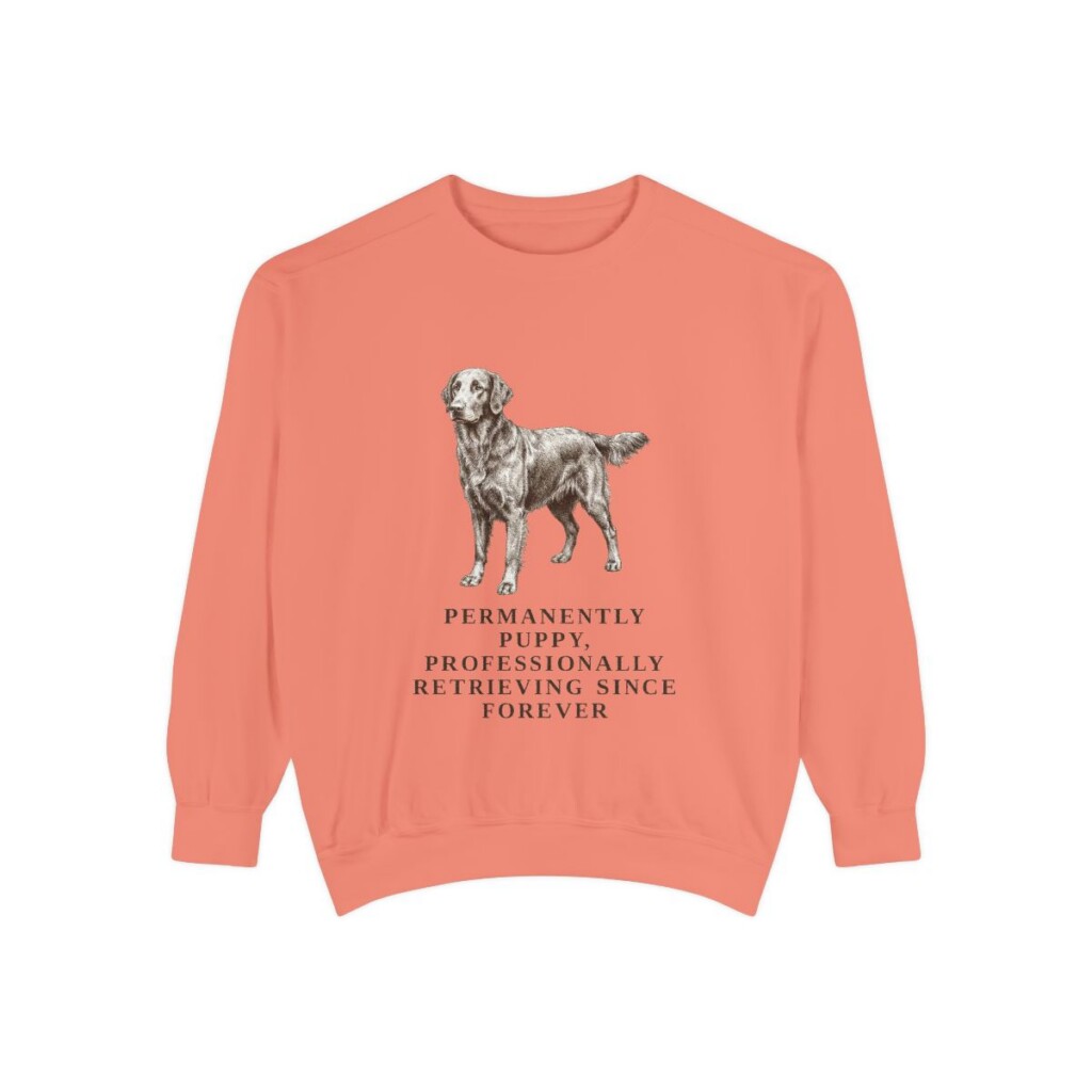 Flat-Coated Retriever Humor Sweatshirt, Terracotta, front view