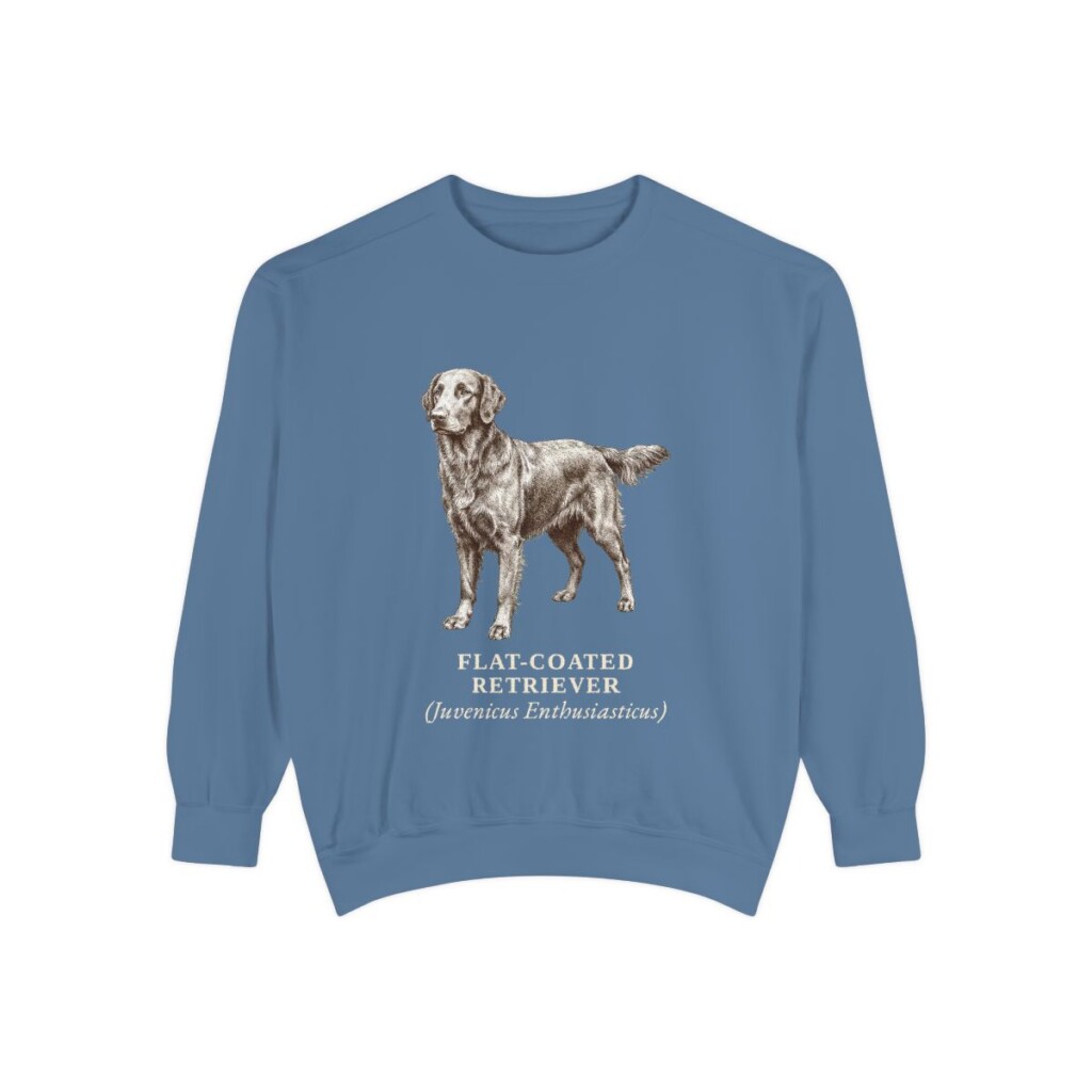 Flat-Coated Retriever Latin Sweatshirt, Blue Jean, front view