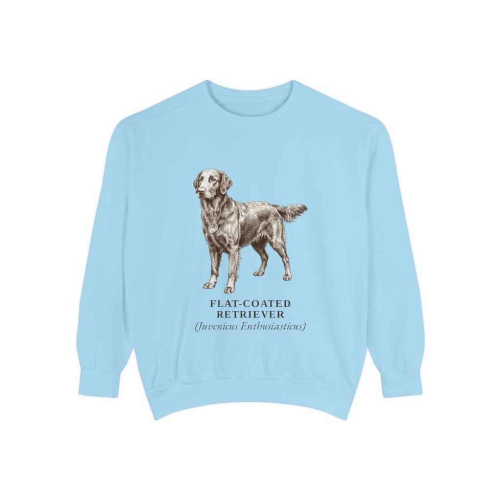 Flat-Coated Retriever Latin Sweatshirt, Chambray, front view