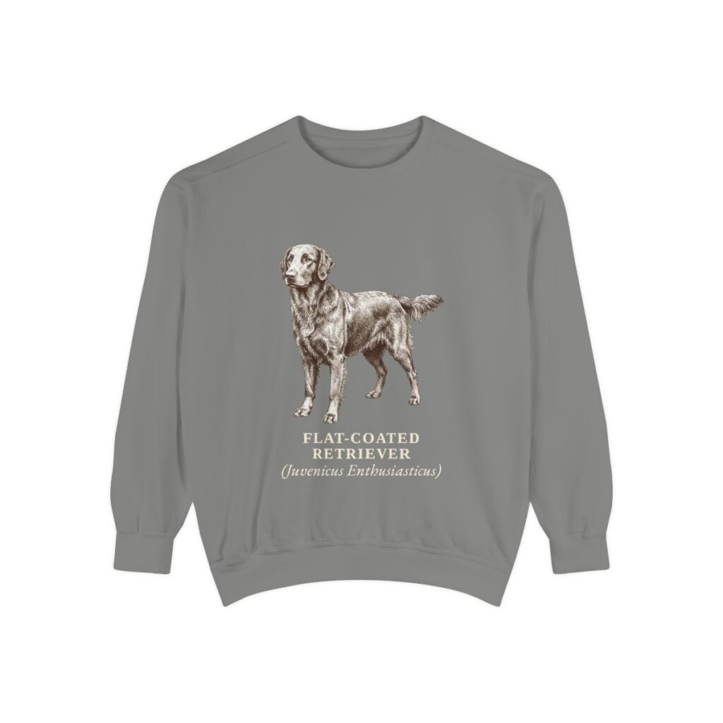 Flat-Coated Retriever Latin Sweatshirt, Grey, front view