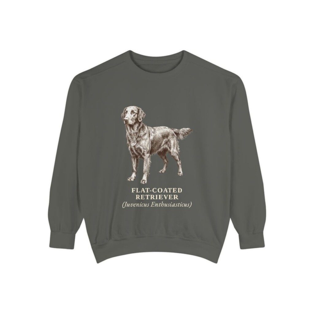 Flat-Coated Retriever Latin Sweatshirt, Pepper, front view