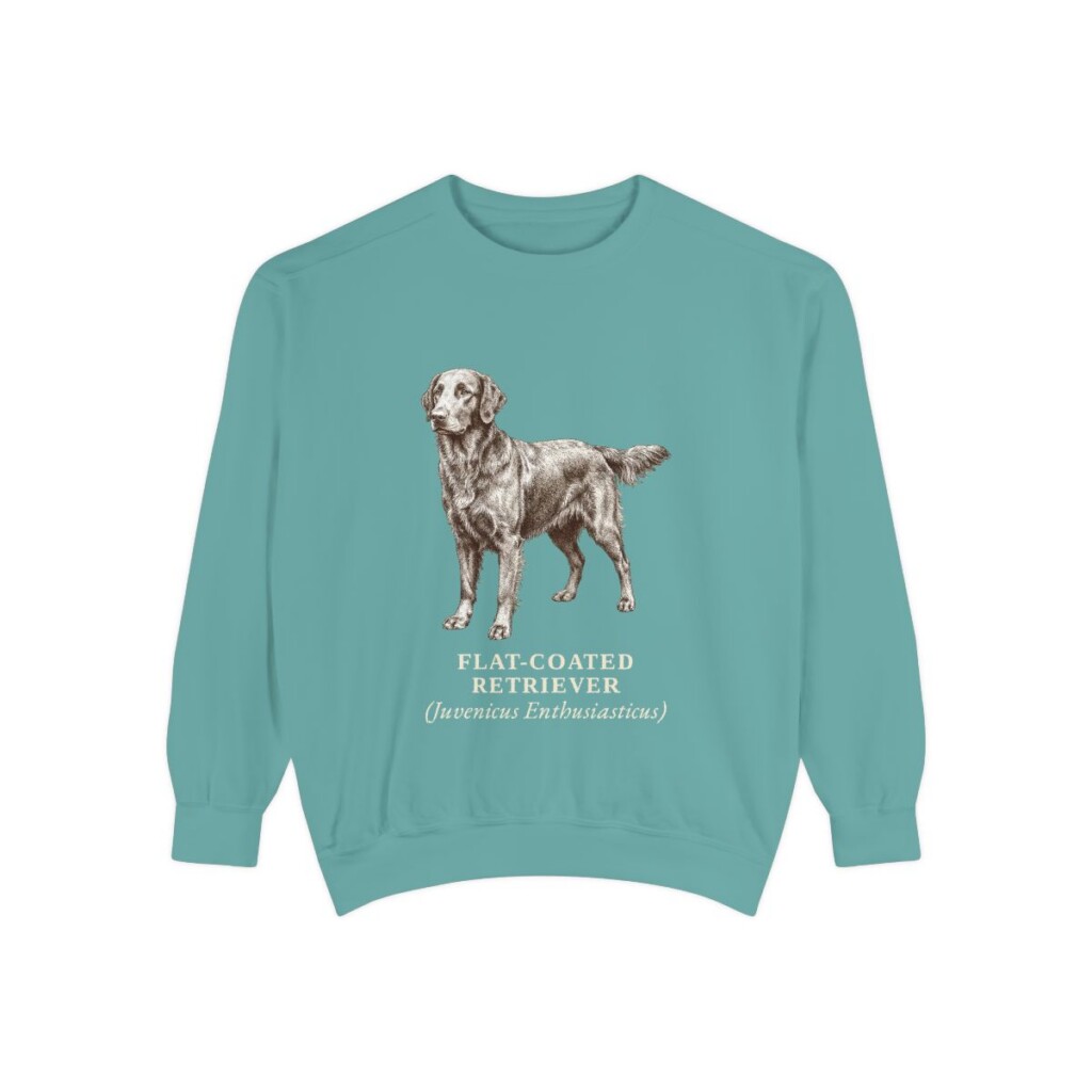 Flat-Coated Retriever Latin Sweatshirt, Seafoam, front view