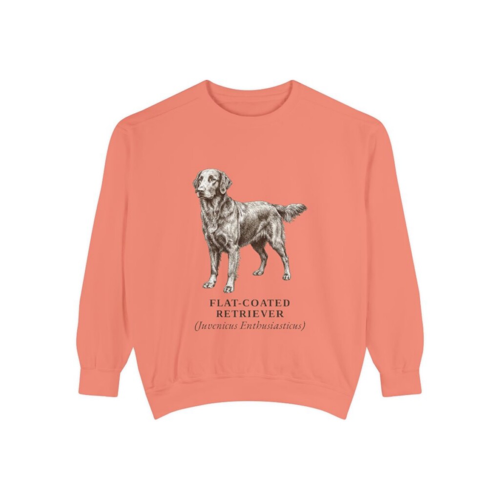 Flat-Coated Retriever Latin Sweatshirt, Terracotta, front view