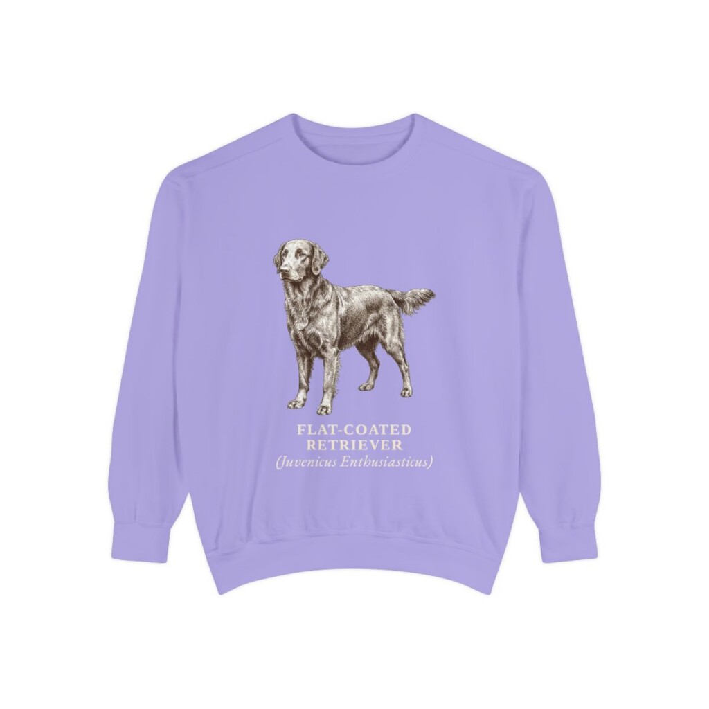 Flat-Coated Retriever Latin Sweatshirt, Violet, front view