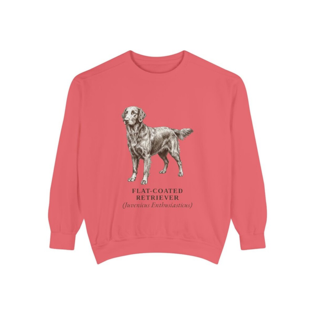 Flat-Coated Retriever Latin Sweatshirt, Watermelon, front view