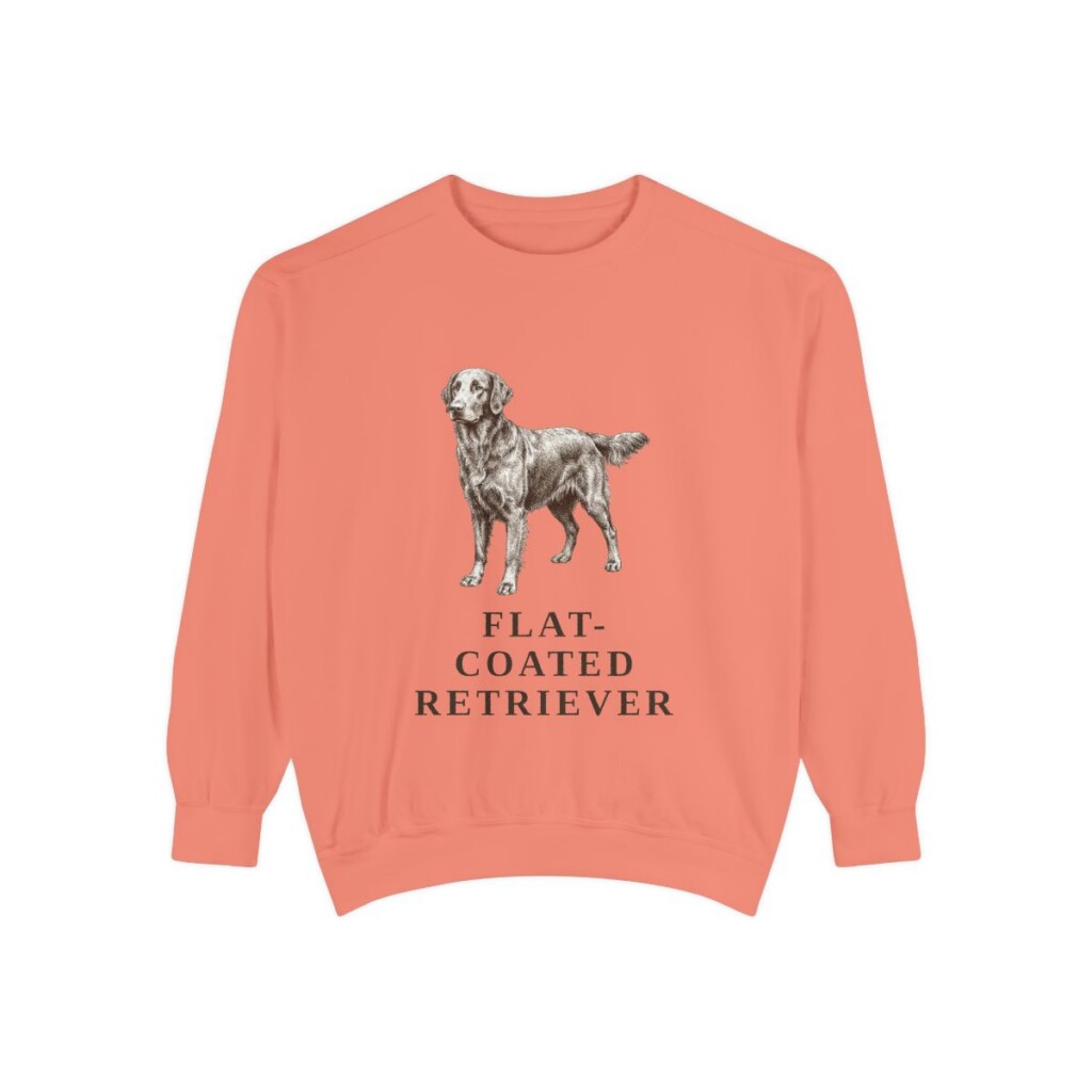 flat-coated-retriever-sweatshirt-terracotta Flat-Coated Retriever Sweatshirt, Terracotta, front view
