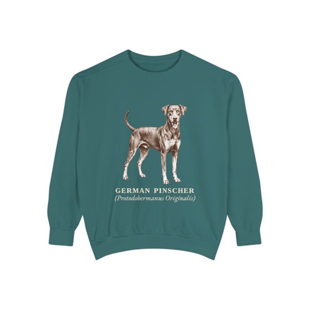 German Pinscher Latin Sweatshirt, Blue Spruce, front view