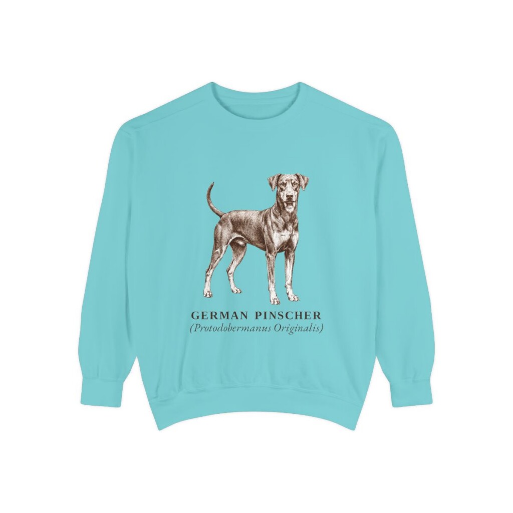 German Pinscher Latin Sweatshirt, Chalky Mint, front view