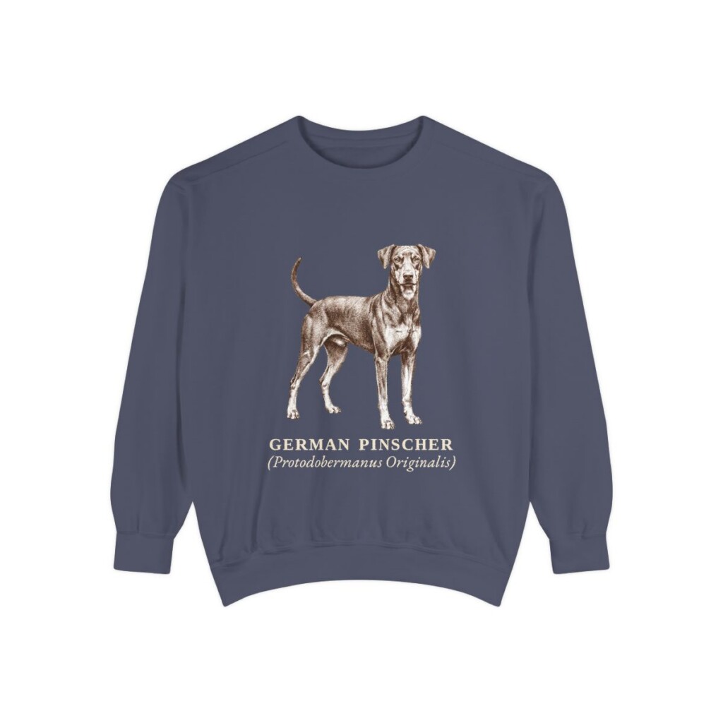 German Pinscher Latin Sweatshirt, Denim, front view