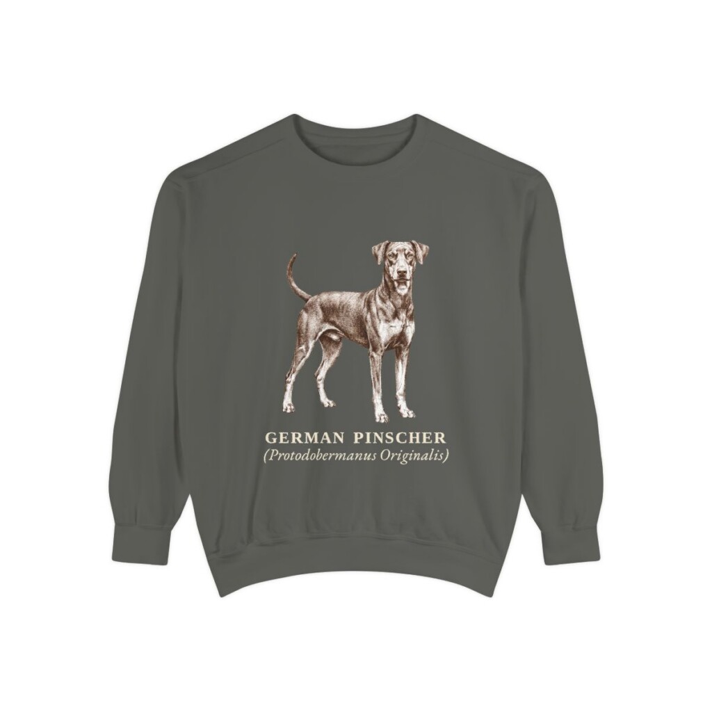 German Pinscher Latin Sweatshirt, Pepper, front view