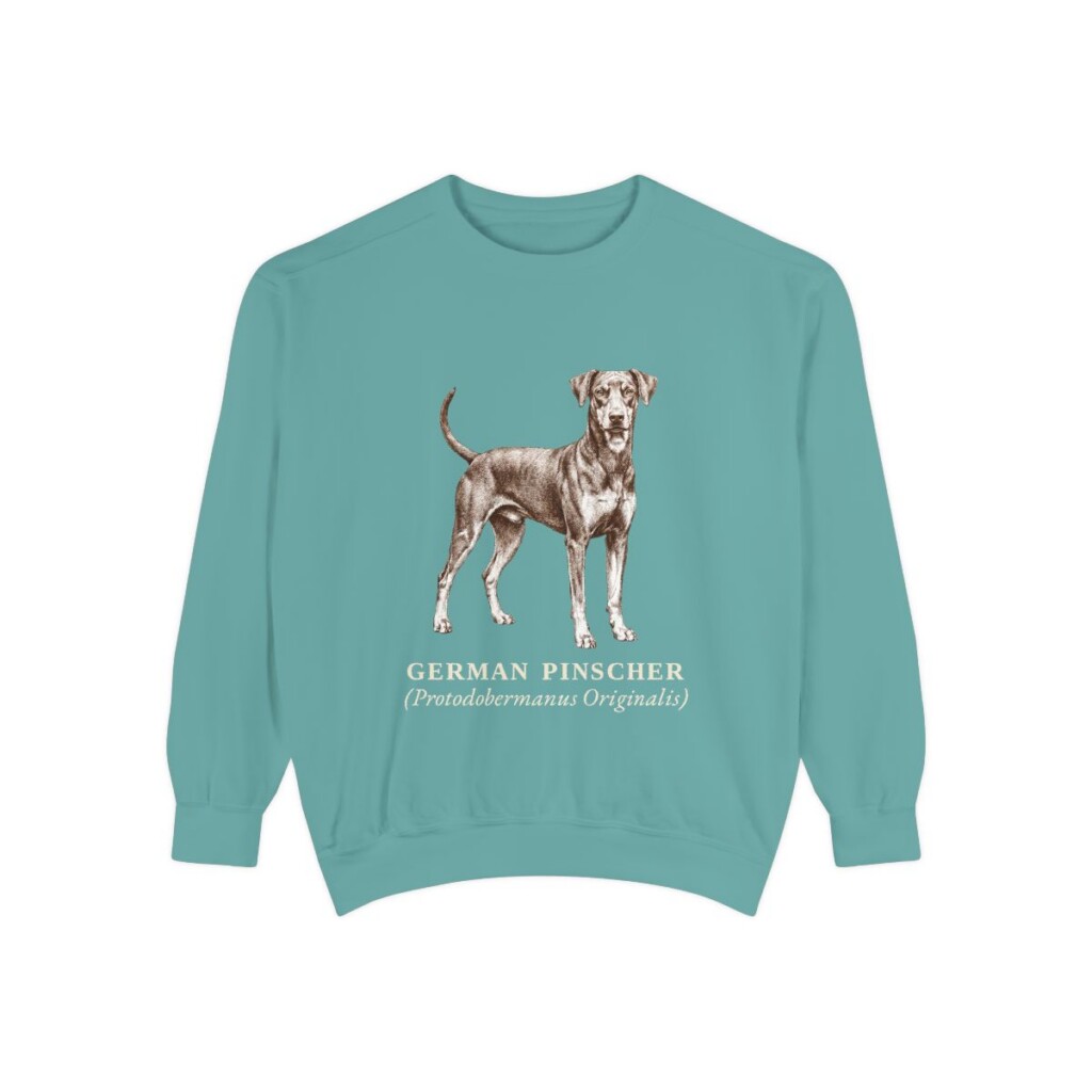 German Pinscher Latin Sweatshirt, Seafoam, front view