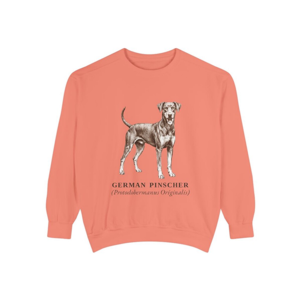 German Pinscher Latin Sweatshirt, Terracotta, front view