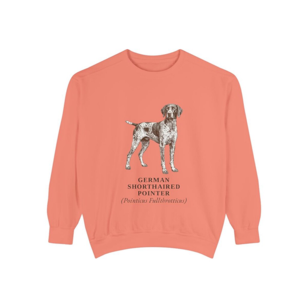 German Shorthaired Pointer Latin Sweatshirt, Terracotta, front view