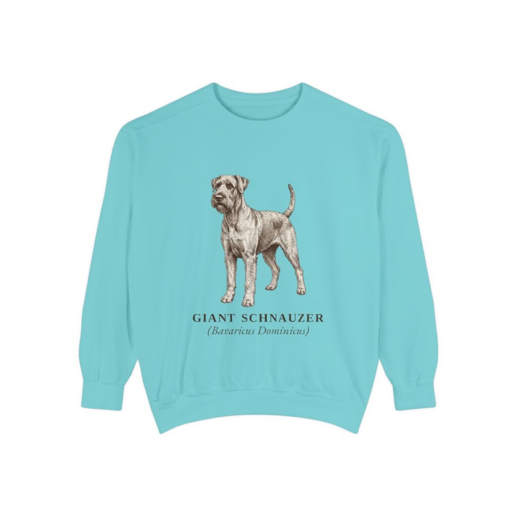 Giant Schnauzer Latin Sweatshirt, Chalky Mint, front view