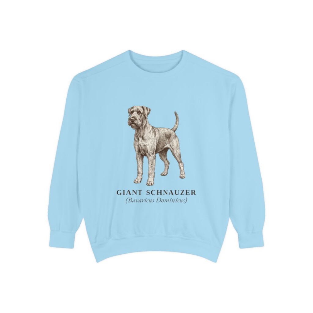 Giant Schnauzer Latin Sweatshirt, Chambray, front view