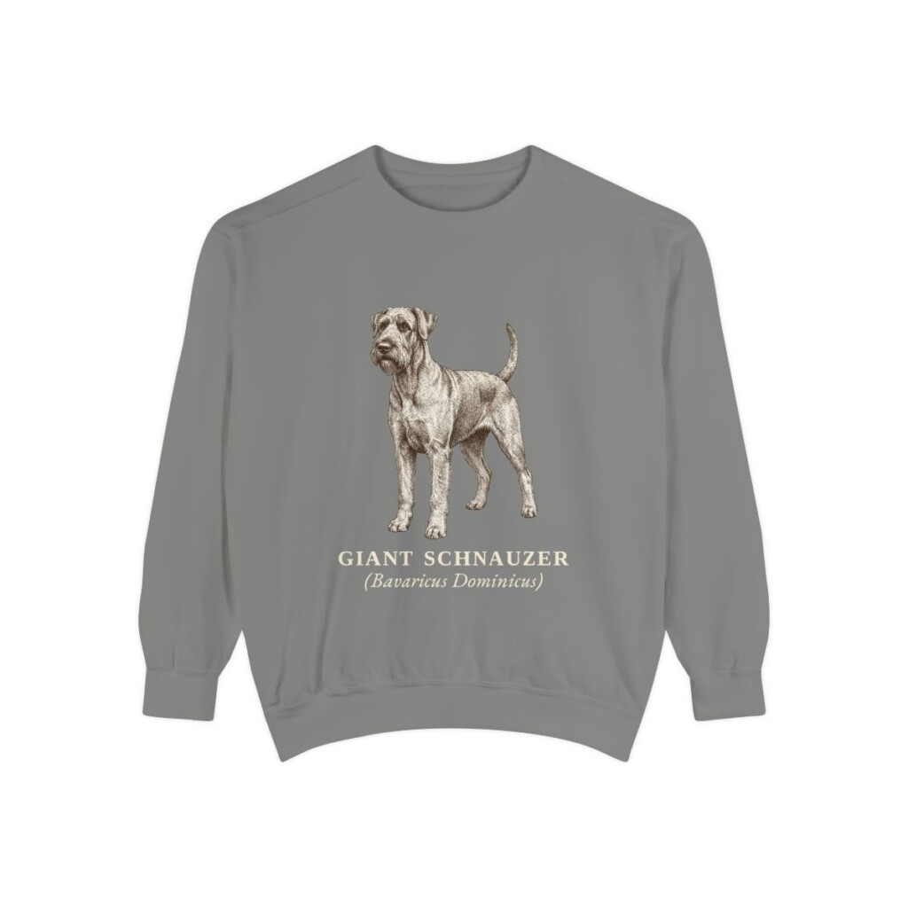 Giant Schnauzer Latin Sweatshirt, Grey, front view