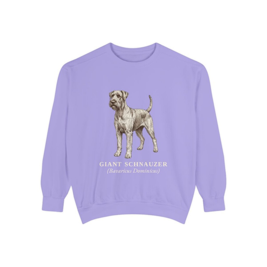 Giant Schnauzer Latin Sweatshirt, Violet, front view