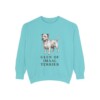 Glen of Imaal Terrier Sweatshirt, Chalky Mint, front view