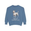 Glen of Imaal Terrier Dad Sweatshirt, Blue Jean, front view