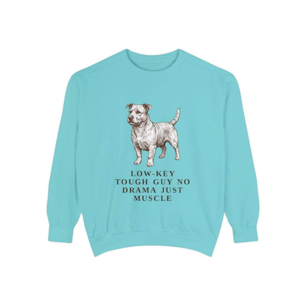 Glen of Imaal Terrier Humor Sweatshirt, Chalky Mint, front view
